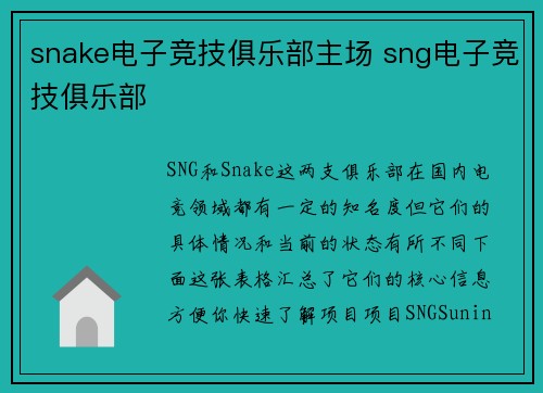 snake电子竞技俱乐部主场 sng电子竞技俱乐部