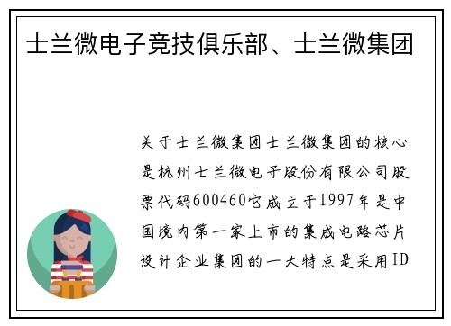 士兰微电子竞技俱乐部、士兰微集团